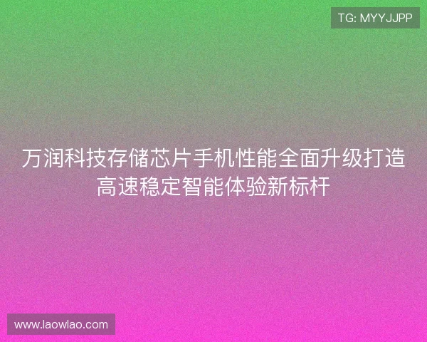 万润科技存储芯片手机性能全面升级打造高速稳定智能体验新标杆
