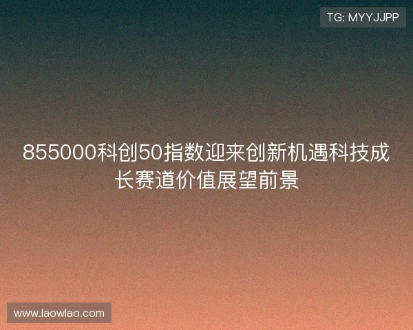 855000科创50指数迎来创新机遇科技成长赛道价值展望前景
